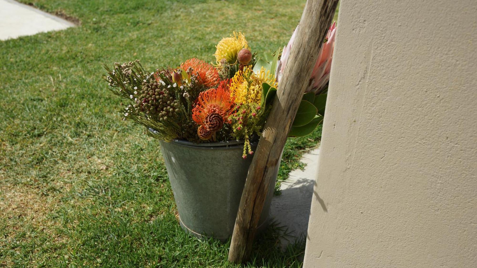 Stellar Overberg Travellers Lodge Napier Buitenkant foto