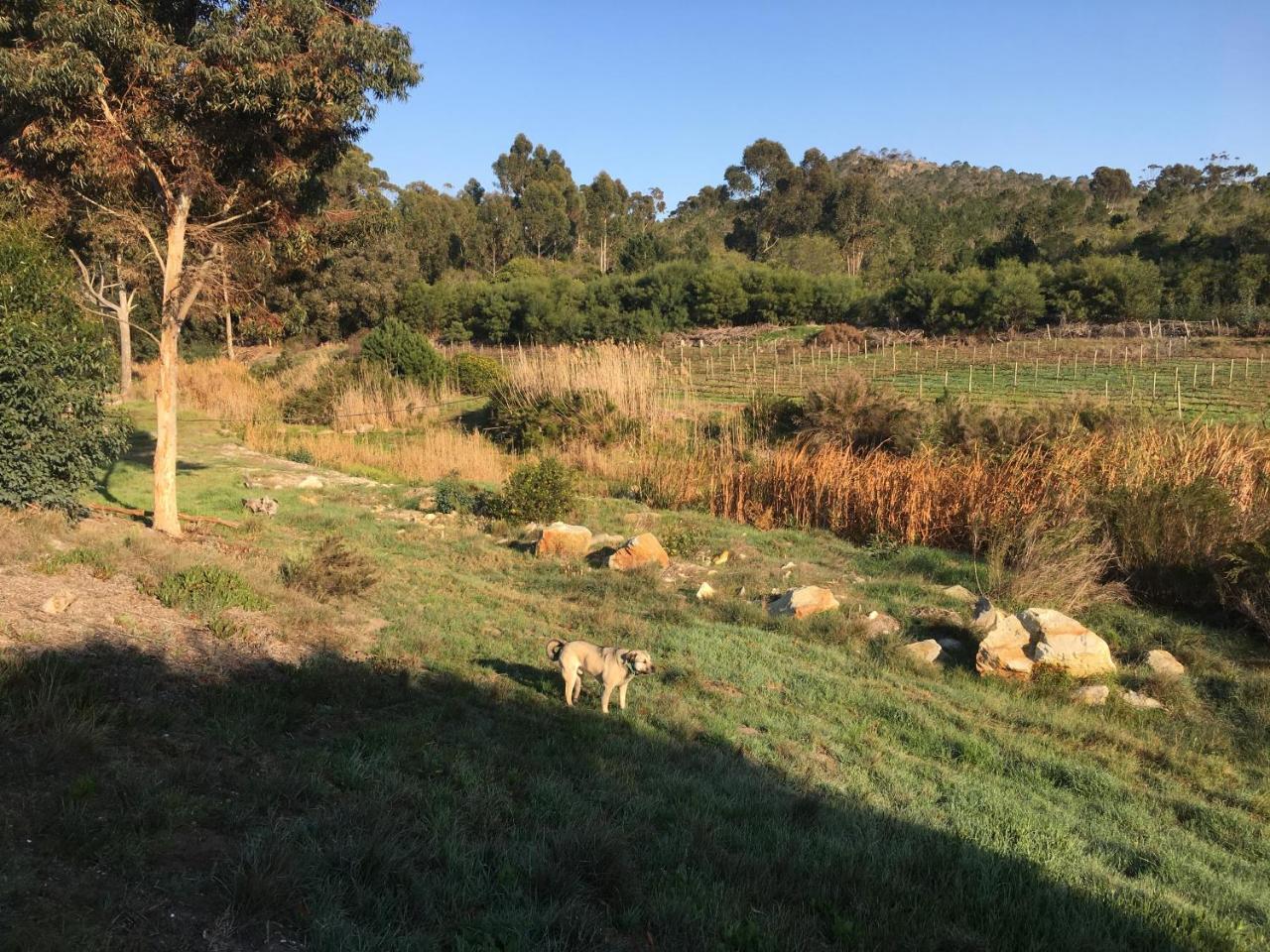 Stellar Overberg Travellers Lodge Napier Buitenkant foto