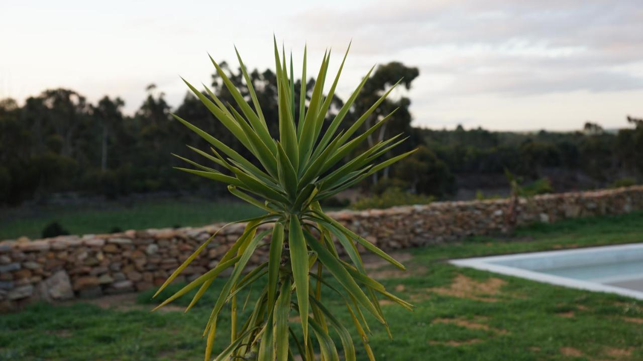 Stellar Overberg Travellers Lodge Napier Buitenkant foto