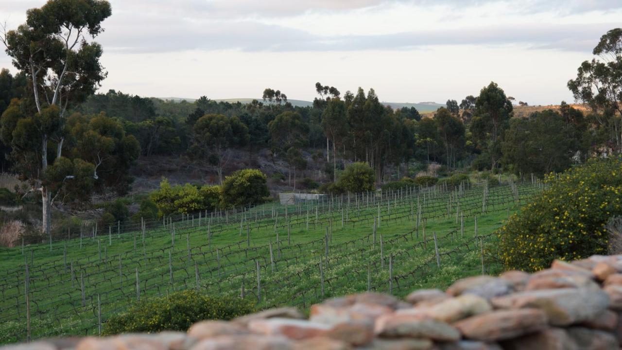 Stellar Overberg Travellers Lodge Napier Buitenkant foto